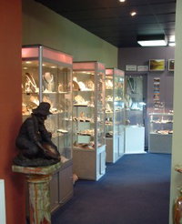 Billabong Blue Sapphires