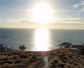 Southend Curtis Island - Attractions 1