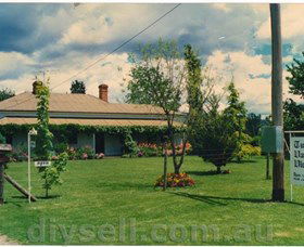 Tumut Valley Violets - Attractions 0