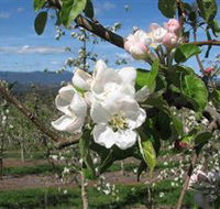 Mouat's Farm - Attractions
