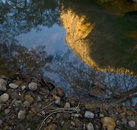Abercrombie Karst Conservation Reserve - Attractions