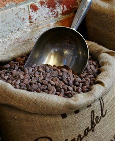 Bright Chocolate - Attractions 5