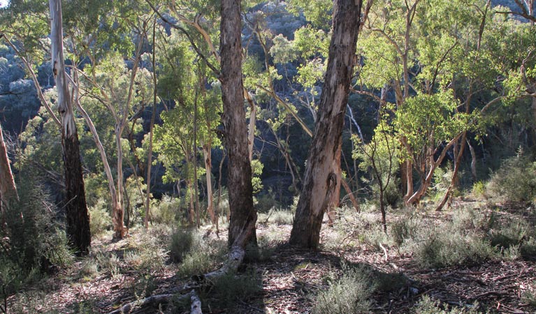 Oconnell NSW Attractions