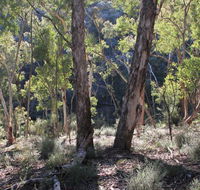 Mount Gray walking track - Attractions