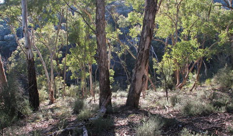 Mount Gray Walking Track - Attractions 0