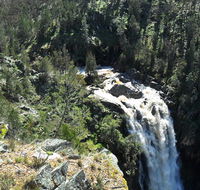 Grove Creek Falls walking track - Attractions