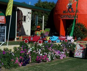 Gayndahs Big Orange - Attractions 1