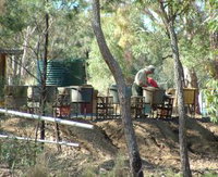 7 Oaks Sapphire Fossicking