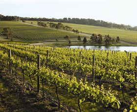 Yabby Lake Vineyard & Cellar Door - Attractions 7
