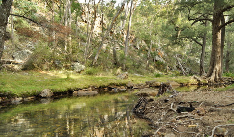 Glen Alice NSW Attractions