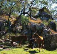 Coomba Falls - Attractions