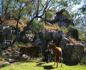 Coomba Falls - Attractions 0