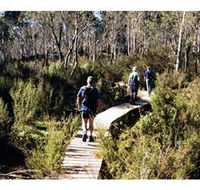 Hume and Hovell Walking Track - Henry Angel Trackhead - Attractions