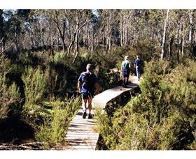 Hume And Hovell Walking Track - Henry Angel Trackhead - Attractions 0