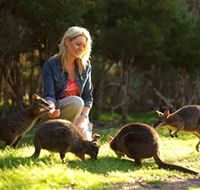 Moonlit Sanctuary Wildlife Conservation Park - Attractions Las Vegas