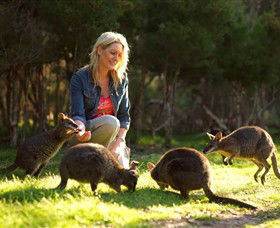 Moonlit Sanctuary Wildlife Conservation Park - Attractions Las Vegas 0