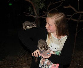 Moonlit Sanctuary Wildlife Conservation Park - Attractions Las Vegas 6