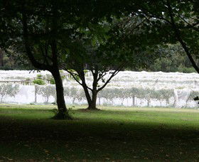 Staindl Wines - Attractions 0