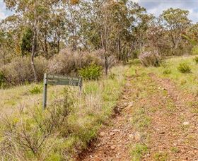 Old Mountain Road Walking Track - Attractions 0