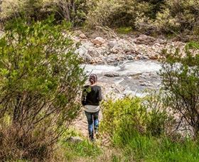 Old Mountain Road Walking Track - Attractions 1