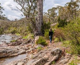 Old Mountain Road Walking Track - Attractions 2