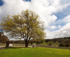 Tuck's Ridge - See Attractions 2