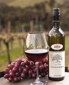 Tuck's Ridge - See Attractions 4