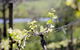 Merricks Estate - thumb 0