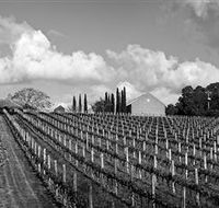 Willow Creek Vineyard - Attractions