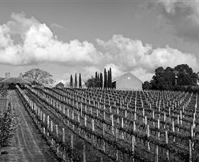 Willow Creek Vineyard - Attractions 0