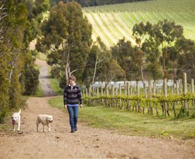 Willow Creek Vineyard - Attractions 1
