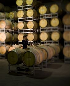 Willow Creek Vineyard - Attractions 2