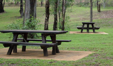 Towarri National Park - Attractions 2