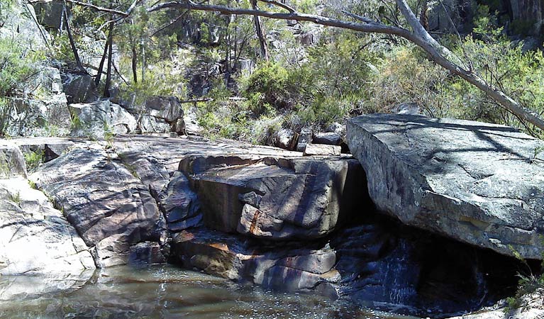 Capoompeta NSW Attractions