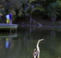 Birdwatching in the South Burnett - Attractions