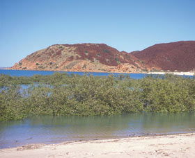 Hearsons Cove - Attractions 0
