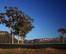 Capertee Valley Bird Trail - Attractions 0