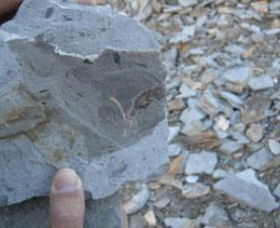 Fossil Rock - Attractions 1