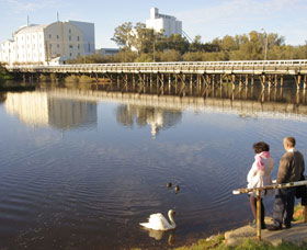 Avon River - Attractions 1
