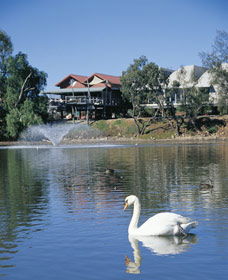 Avon River - Attractions 3