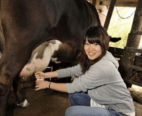 Warrook Farm - Attractions 2
