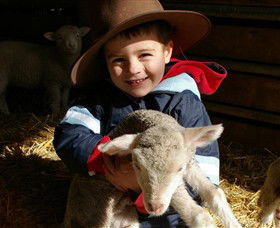 Warrook Farm - Attractions 1