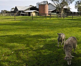 Warrook Farm - Attractions 4