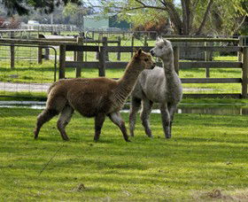 Warrook Farm - Attractions 6