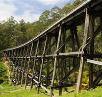 Noojee Trestle Bridge - Attractions