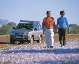 Canna Reserve - Attractions 1
