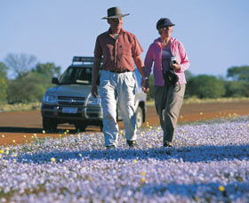 Canna Reserve - Attractions 2
