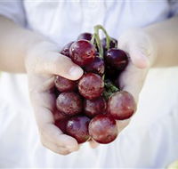 Granitevale  Estate Winery - Attractions