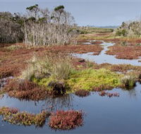 French Island National Park - Attractions
