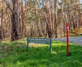 Lobs Hole Ravine 4WD Trail - Attractions 0